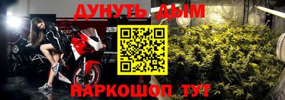 герыч Кингисепп