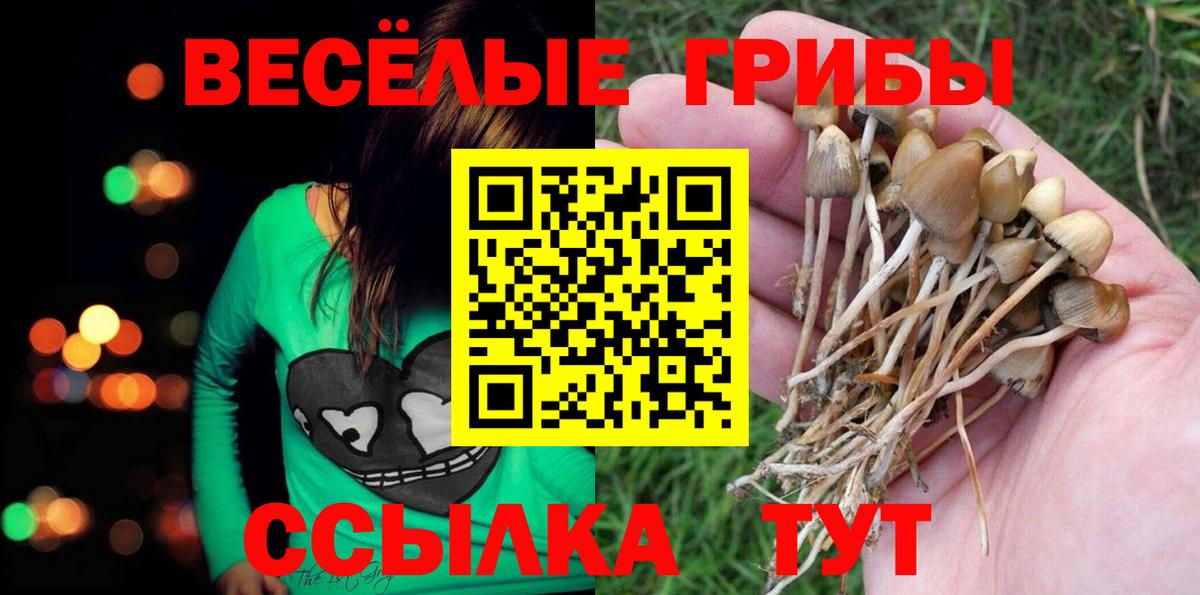 Карталы  Галлюциногенные грибы Psilocybine cubensis  Вход с VPN 