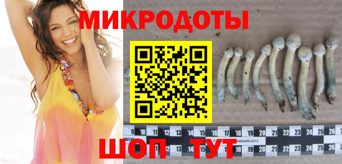 Галлюциногенные грибы Cubensis Карталы